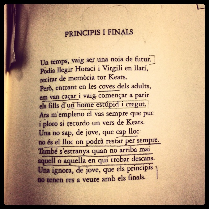 Poema Principis i finals, de Joan Margarit